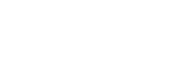 Government of South Australia Logo